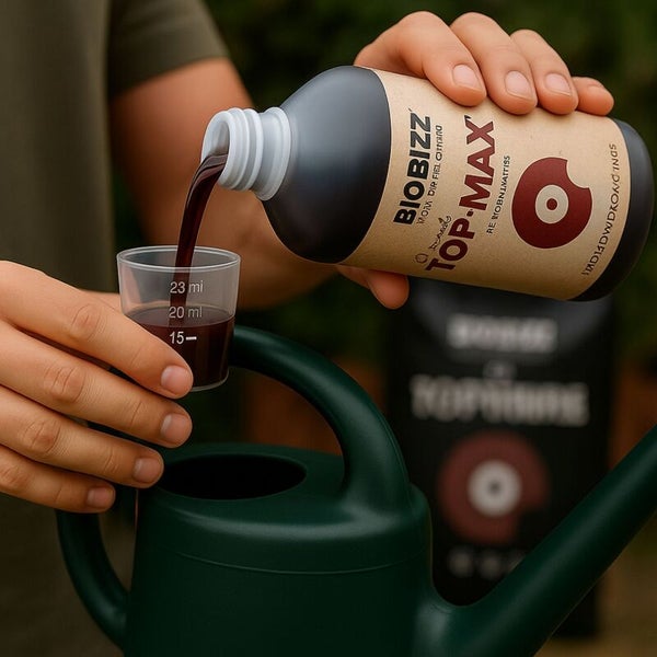 Eine Person gießt Biobizz Top-Max organischen Blütenstimulator aus einer Flasche in einen Messbecher über einer grünen Gießkanne.