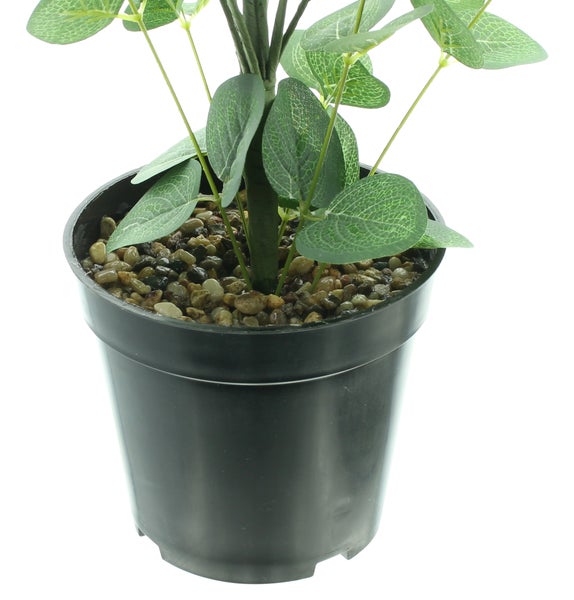 FRANK FLECHTWAREN | Topfpflanze Eukalyptus, KUNSTSTOFF, H: 65 cm