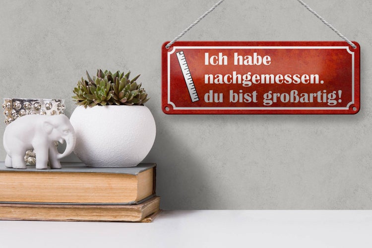 Blechschild Spruch 27x10cm nachgemessen du bist großartig Dekoration