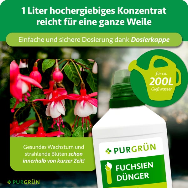 Purgrün Fuchsien Dünger, 1 Liter Konzentrat für circa 200 Liter Gießwasser, mit Dosierkappe, für gesundes Wachstum und Blüten, Purgrün Logo.