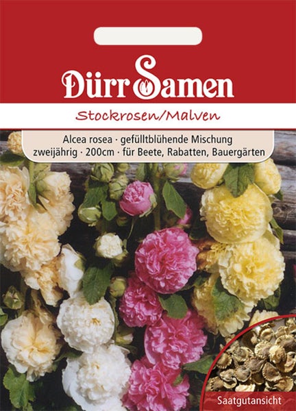 Samenpackung von Dürr Samen für Stockrosen Alcea rosea, gefülltblühende Mischung, zweijährig, Wuchshöhe bis zu 200 Zentimeter.