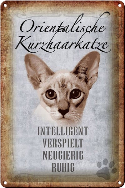 Blechschild Spruch 20x30cm orientalische Kurzhaarkatze