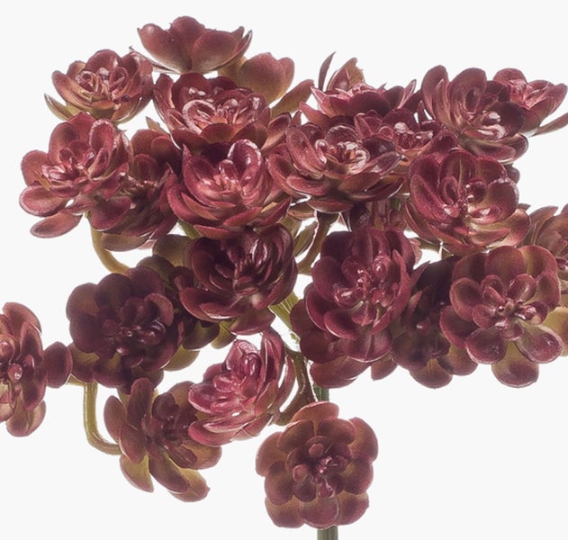 Künstliche Sukkulente Echeveria Zweig KALUPA, Burgunderrot, 50cm