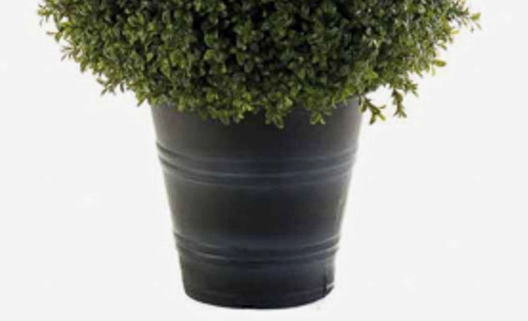 Künstliche Buchsbaum-Pyramide im schwarzen Topf