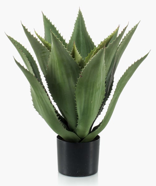 Künstliche Agave mit grünen gezackten Blättern in einem schwarzen Kunststofftopf.
