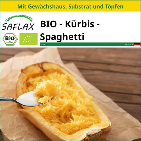 SAFLAX Anzucht Set - BIO - Kürbis - Spaghetti - Cucurbita pepo - 5 Samen - Mit Mini-Gewächshaus, Anzuchtsubstrat und 2 Töpfen