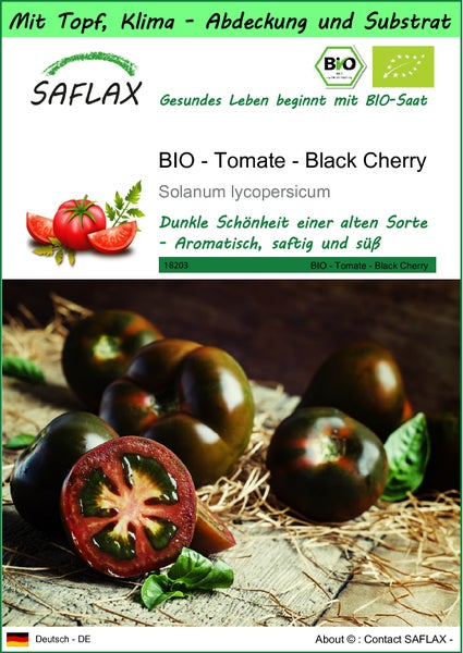 SAFLAX Garden to go - BIO - Tomate - Black Cherry - Solanum lycopersicum - 10 Samen - Mit Topf, Klima - Deckel und Anzuchtsubstrat