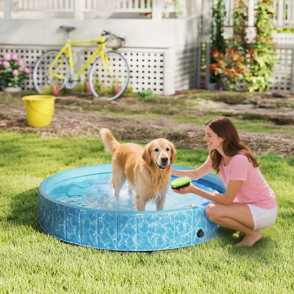 Golden Retriever in einem runden, blauen Hundepool auf einer Rasenfläche, eine Frau pflegt das Tier mit einer Bürste.