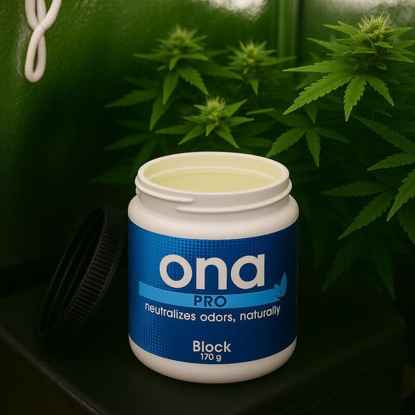 Ona Block Geruchsneutralisierer, 170 Gramm