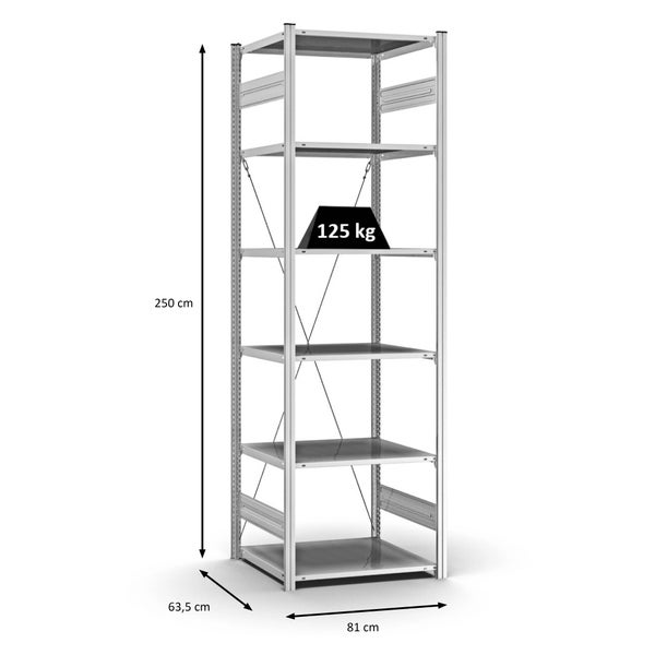 PROREGAL Profi Lagerregal Stecksystem T-Profil Grundregal HxBxT 250 x 75 x 60 cm Fachlast 125 kg Verzinkt