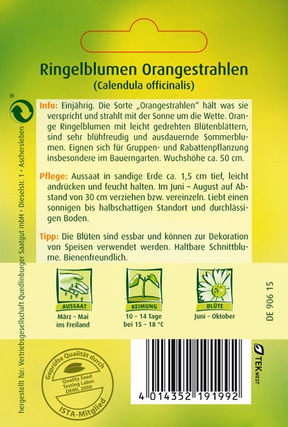 Rückseite der Saatgutpackung Ringelblumen Orangestrahlen mit Infos zu Aussaat, Blütezeit und Keimung sowie Quedlinburger Saatgut Logo.