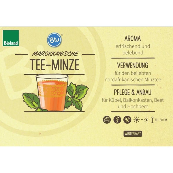 Informationsetikett für Marokkanische Tee-Minze mit Angaben zu Aroma, Verwendung, Pflege und Winterhärte sowie Bioland Logo und Blu Logo.