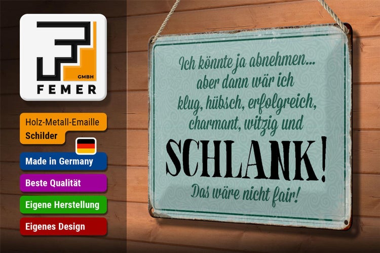 Blechschild Spruch 30x20cm könnte abnehmen dann klug hübsch