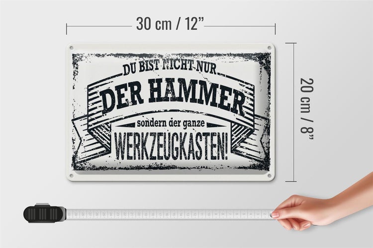 Blechschild Spruch 30x20cm Du bist nicht nur