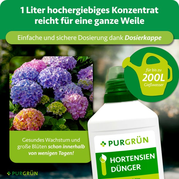 Purgrün Hortensiendünger 1 Liter Konzentrat mit Dosierkappe für 200 Liter Gießwasser, für gesundes Wachstum und große Blüten, Purgrün Logo.