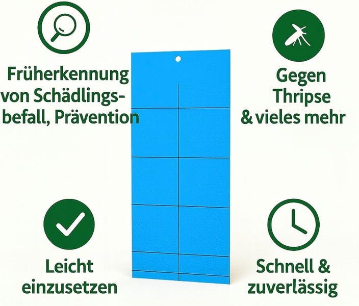 Blautafel zur Früherkennung und Prävention von Schädlingsbefall wie Thripse, einfache Anwendung, schnell und zuverlässig.