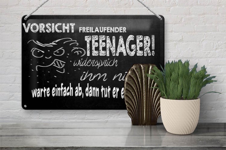 Blechschild Spruch 30x20cm Vorsicht freilaufender Teenager
