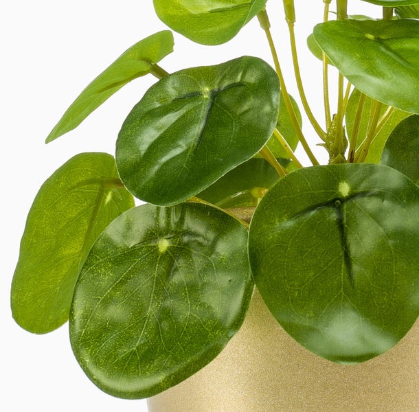 Künstliche Pilea-Pflanze mit runden grünen Blättern in einem beigen Übertopf.