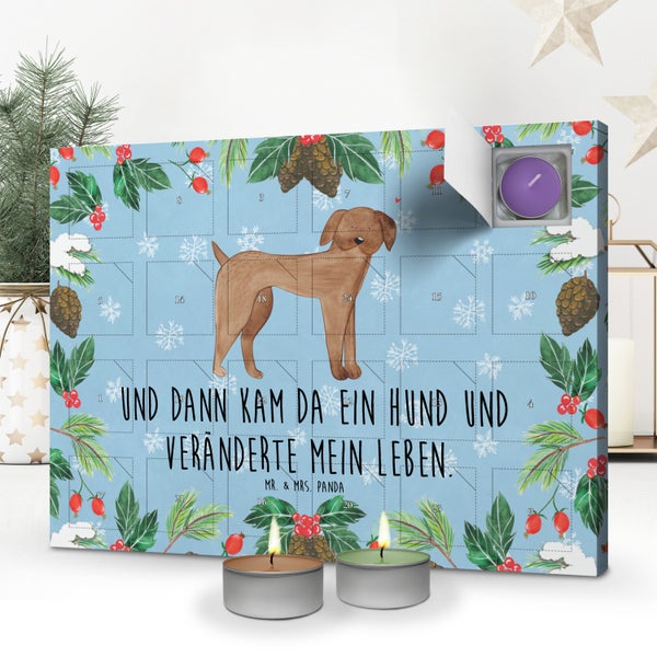 Mr. & Mrs. Panda Duftkerzen Adventskalender Hund Dogge - Blau Pastell