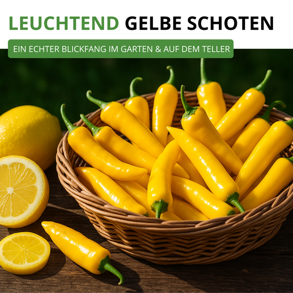 Korb mit gelben, spitz zulaufenden Paprikaschoten neben Zitronen auf einer Holzoberfläche.
