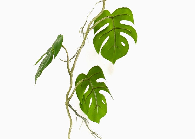 Künstliche Monstera-Ranke mit grünen geschlitzten Blättern und naturgetreuen Luftwurzeln.