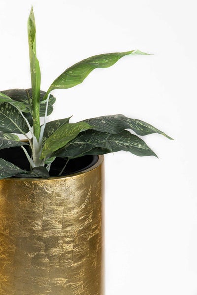 Grüne Zimmerpflanze in einem zylindrischen Blumentopf mit goldener Blattgold-Optik.