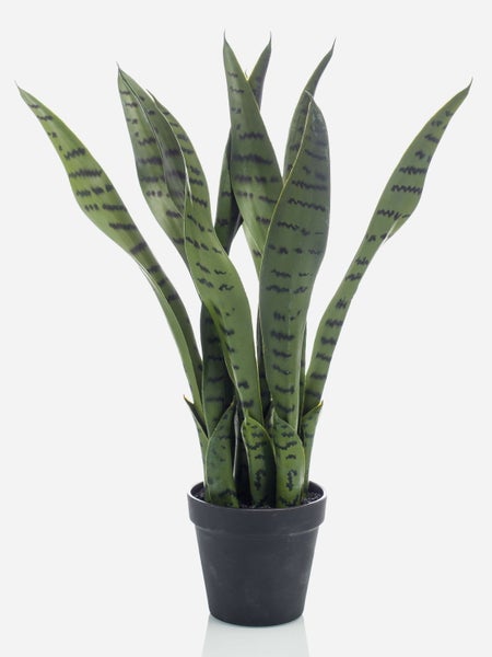 Künstliche Sansevieria im schwarzen Topf, Bogenhanf mit grün gemusterten Blättern.