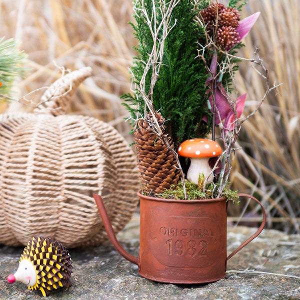 Dekorative Herbstszene mit Zierkürbis, Igel und Gießkanne mit Pflanzen