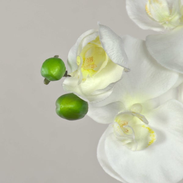 Detailaufnahme der großen grünen Blätter einer künstlichen Strelitzie mit Blattstruktur.