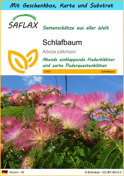 SAFLAX Geschenk Set - Schlafbaum - Albizia julibrissin - 50 Samen - Mit Geschenkbox, Versandaufkleber, Geschenkkarte und Anzuchtsubstrat