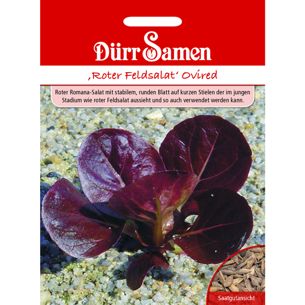 Roter Feldsalat Ovired Saatgut von Dürr Samen