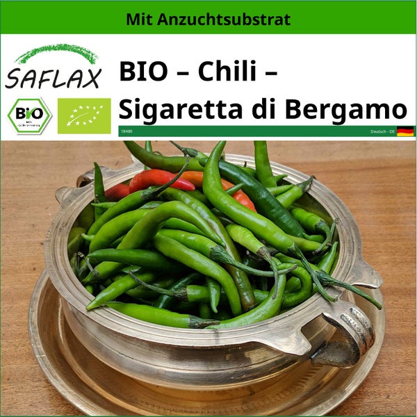 SAFLAX  - BIO – Chili – Sigaretta di Bergamo - Capsicum annuum - 10 Samen - Mit keimfreiem Anzuchtsubstrat