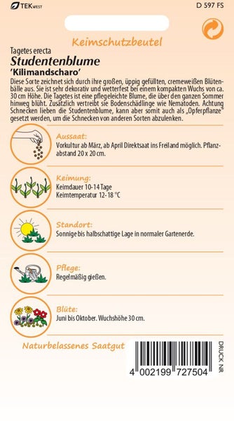 Keimschutzbeutel Studentenblume Kilimandscharo mit Informationen zu Aussaat, Keimung, Standort, Pflege und Blütezeit