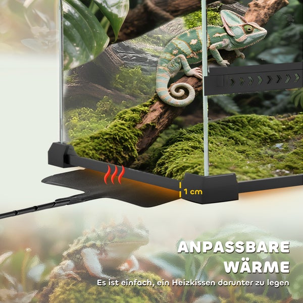 Terrarium mit Chamäleon und Heizmatte