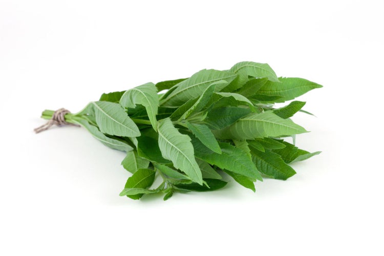 Strauß Zitronenstrauchblätter gebunden