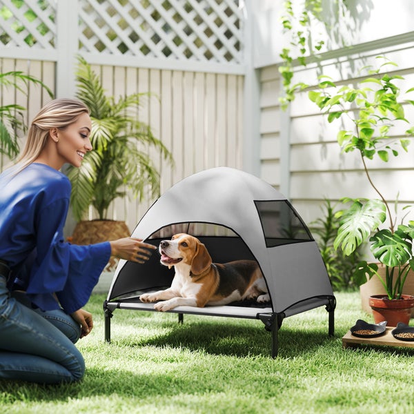 Szene im Garten mit einem Hund in einem grauen Zeltbett und einer Frau, die sich nähert