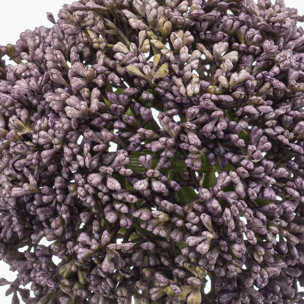 Lila Kunstblume Allium mit rundem Blütenkopf und grünem Stiel.