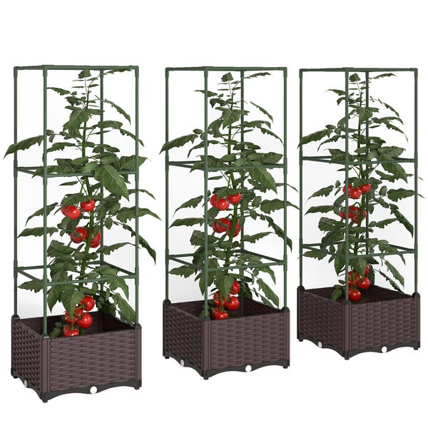 Drei Tomatenpflanzen in braunen quadratischen Pflanzgefäßen mit Rattanoptik und grünen Rankhilfen.