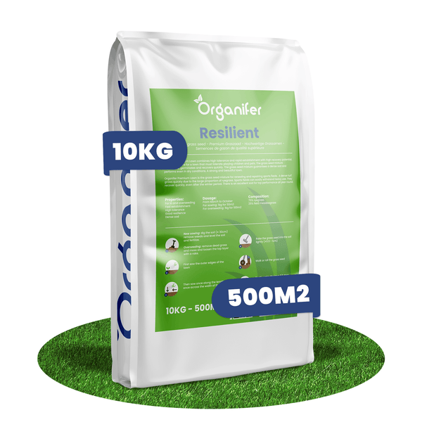 Organifer Rasensamen Resilient, 10 Kilogramm für 500 Quadratmeter, hochwertige Grasmischung zur Neuanlage und Nachsaat.