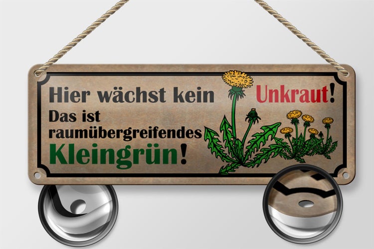 Blechschild Spruch 27x10cm wächst kein Unkraut kleingrün Dekoration