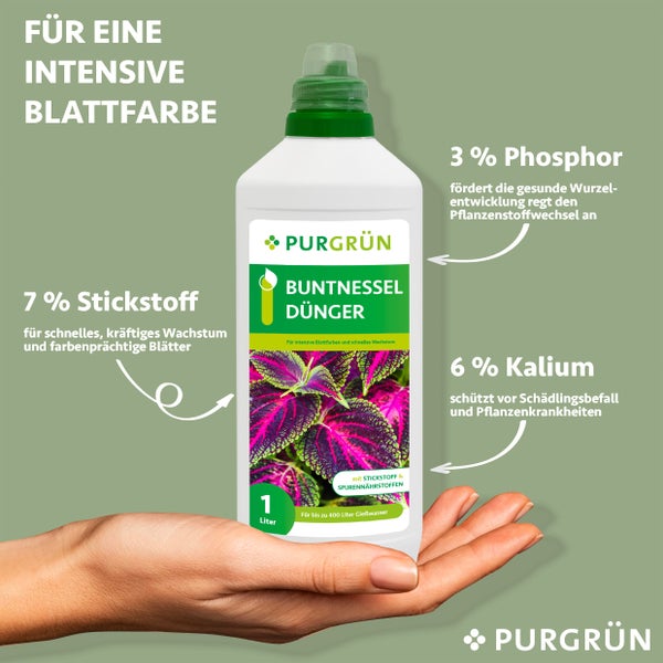 Purgrün Buntnessel-Dünger 1 Liter