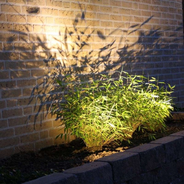 Beleuchteter Bambus vor einer Ziegelwand mit markantem Schattenwurf durch Gartenstrahler.