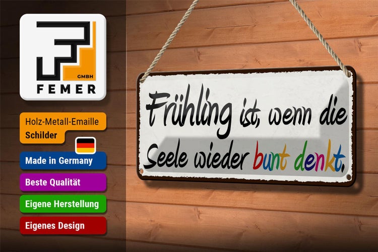 Blechschild Spruch 27x10cm Frühling wenn Seele bunt denkt Dekoration