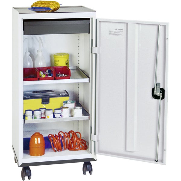 Blütenstand einer Blasenspiere mit Insekten