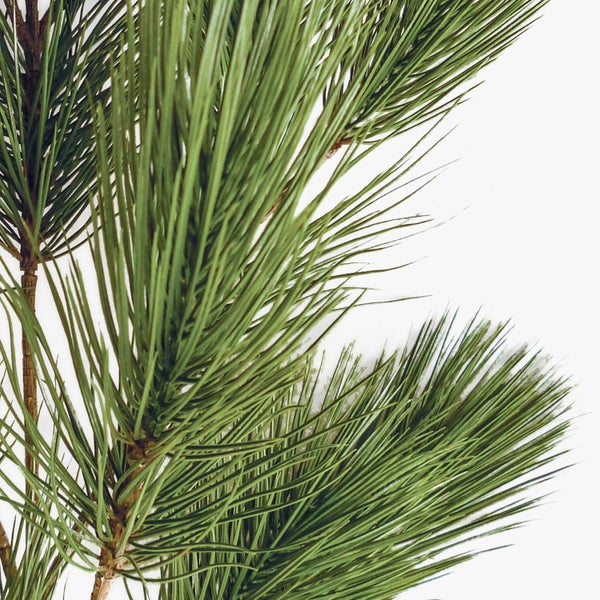 Nahaufnahme eines künstlichen Kiefernzweigs mit strukturierten braunen Ästen und grünen Nadeln.