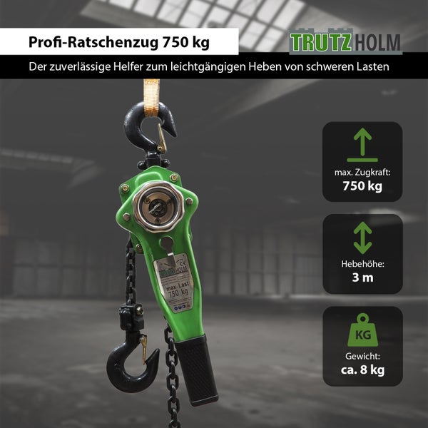 Trutzholm Profi Ratschenzug mit 750 Kilogramm Zugkraft und 3 Meter Hebehöhe für schwere Lasten.