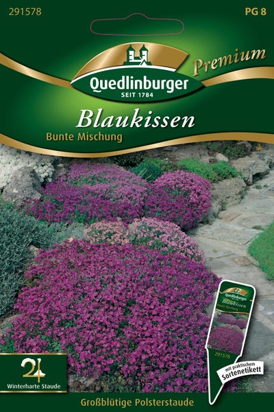 Quedlinburger Logo auf Samentüte für Blaukissen Bunte Mischung, eine großblütige, winterharte Polsterstaude mit violetten Blüten.
