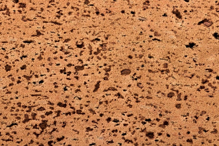 Nahaufnahme eines porösen Lavasteins mit strukturierter, löchriger Oberfläche.