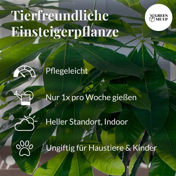 Einfach Tierlieb