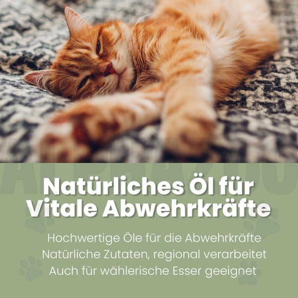 Entspannte Katze auf einer Decke, die für natürliches Öl für vitale Abwehrkräfte wirbt